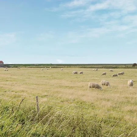 Semesterbostad Bunti *